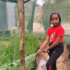 Karen Kimani waters her tree nursery.