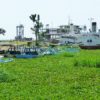 Boats afloat in a lake of hyacinth at Kisumu. Image by Richard Portsmouth via Flickr (CC BY-ND-2.0)