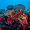 Layang Layang Atoll, Spratly Islands, South China Sea.