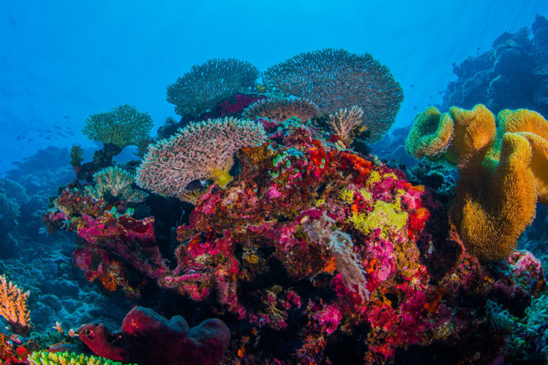 Layang Layang Atoll, Spratly Islands, South China Sea.