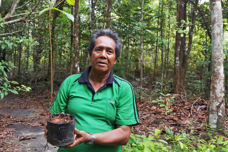 Ledan holding ironwood saplings