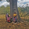 Members of the Mulambwane community under a baobab tree.