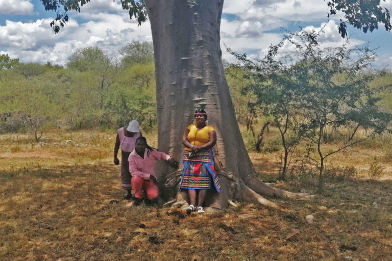 Members of the Mulambwane community under a baobab tree.