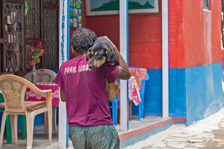 A man carries a feral dog.