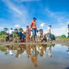 Mangrove restoration.