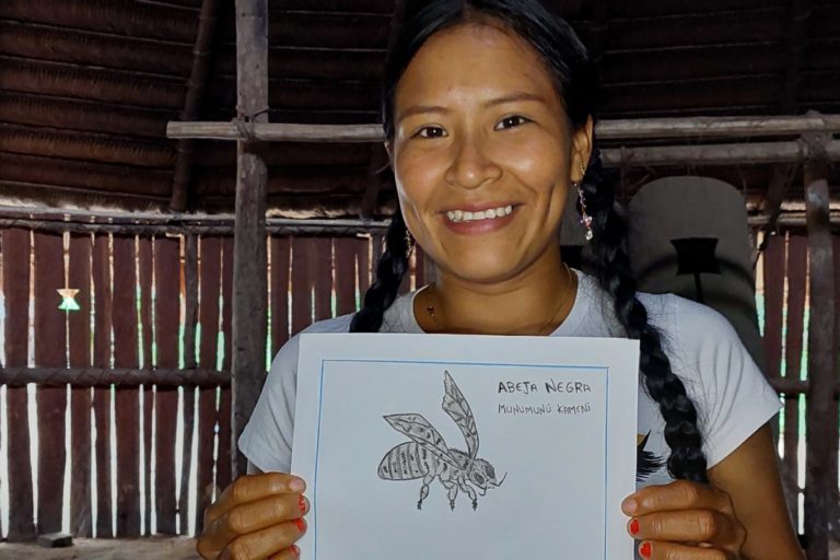 A researcher shows one of the illustrations that are part of the stingless bee project. Image courtesy of Conservation International Colombia.