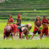 Farmers work at a paddy field in Nepal.