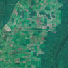 Satellite image of oil palm, agriculture, and forest in East Kalimantan, Indonesia. Image credit: Maxar Technologies.