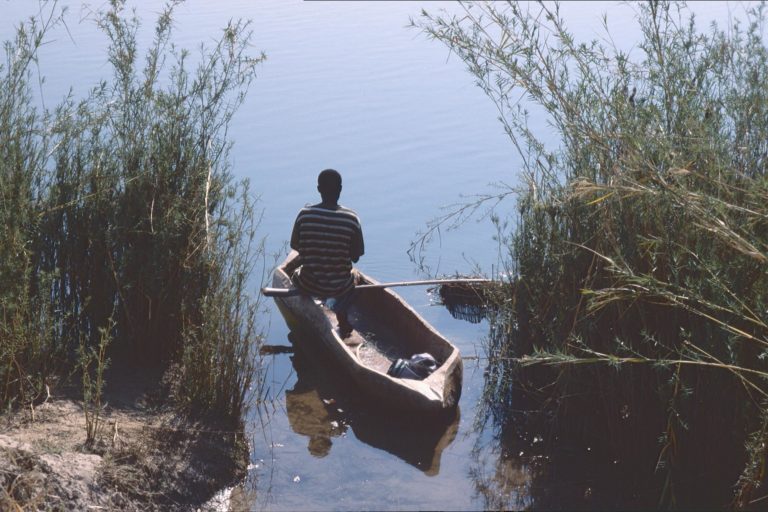 Lone figure in dugout canoe emerging from reeds on river. Image by Patrik M. Loeff via Flickr (CC BY-NC-ND 2.0)
