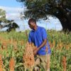Zimbabwe farmer seed