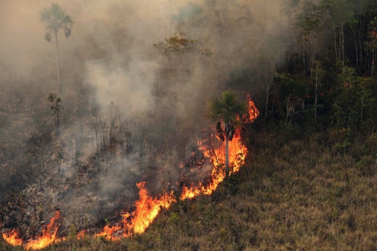 A fire burns in Xingu Indigenous Park in 2016. Image by Ibama via Wikimedia Commons (CC BY-SA 2.0).