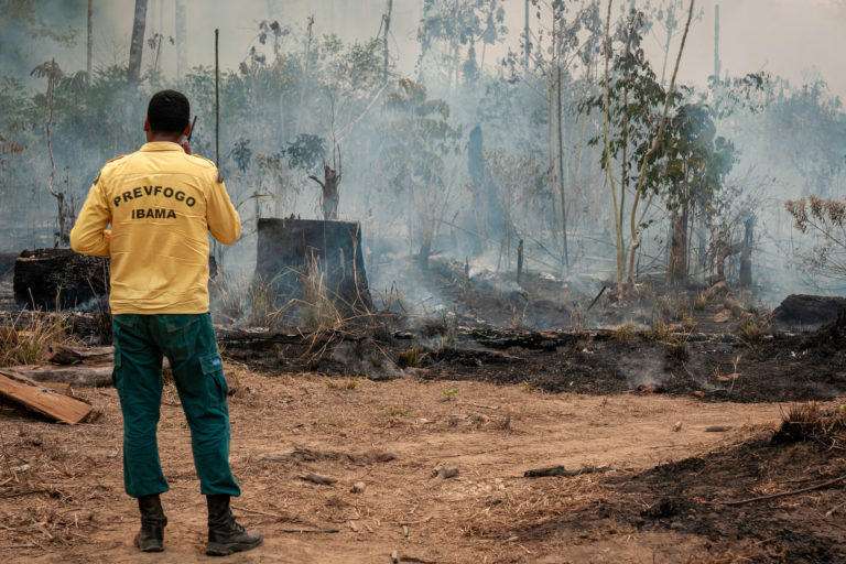 An official from Operation Green Brazil surveys a deforested and burned landscape. Image by Ibama via Wikimedia Commons (CC BY-SA 2.0).