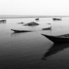 Boats on the Padma River