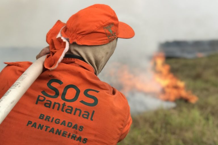 An SOS Pantanal firefighter battles a blaze. Image by Gustavo Figueiroa/SOS Pantanal.