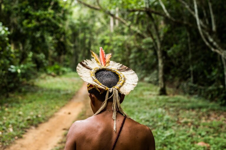 The Pataxó territory overlaps with Monte Pascoal National Park in the Brazilian state of Bahia. Image courtesy of André Olmos.