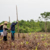 Community-based fire prevention and peatland restoration program in Indonesia.