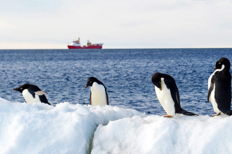 A Royal Navy research vessel patrols Antarctica.