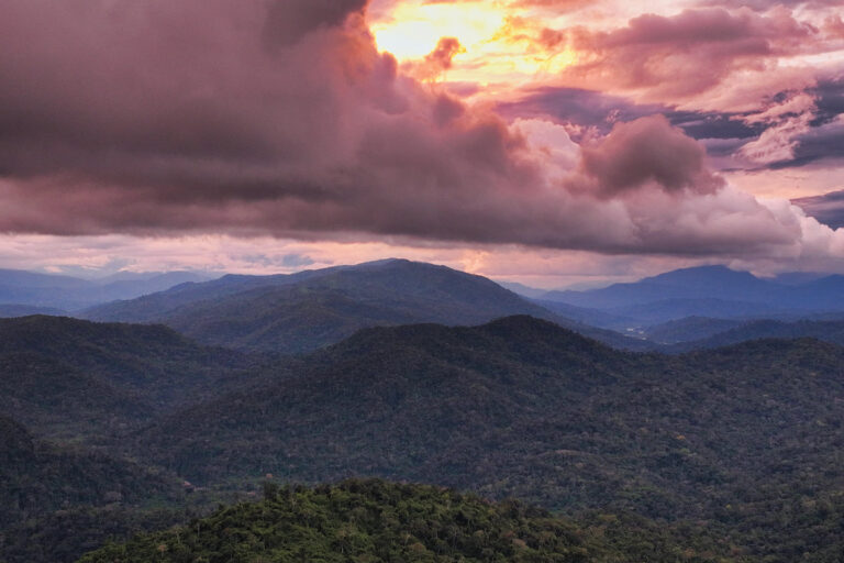 Sunset over the Amazon. Photo credit: Rhett A. Butler