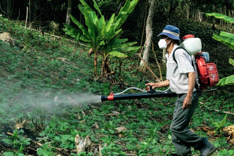 Man spraying pesticides in woods. Image by Gilmer Diaz Estela via Pexels.