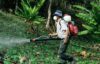 Man spraying pesticides in woods. Image by Gilmer Diaz Estela via Pexels.