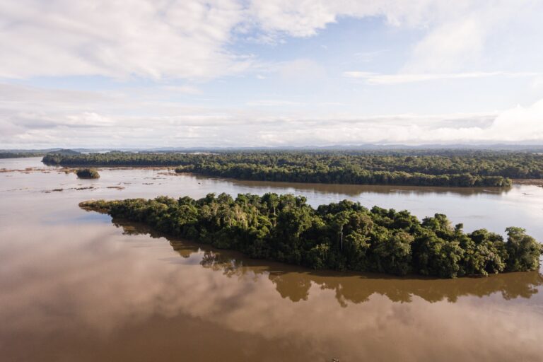 The Xingu River in the Amazonian state of Pará. Image by Cícero Pedrosa Neto / Amazon Watch.