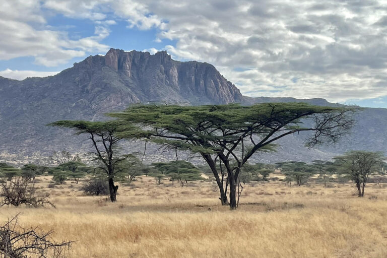The northern Kenya landscape is dry most of the year, making it unsuitable for growing crops. Image courtesy of Peyton Fleming.