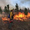 Prescribed burns conducted by government organizations don’t face the same high cost of fire insurance as private organizations do. Image courtesy of the Virginia Department of Forestry.