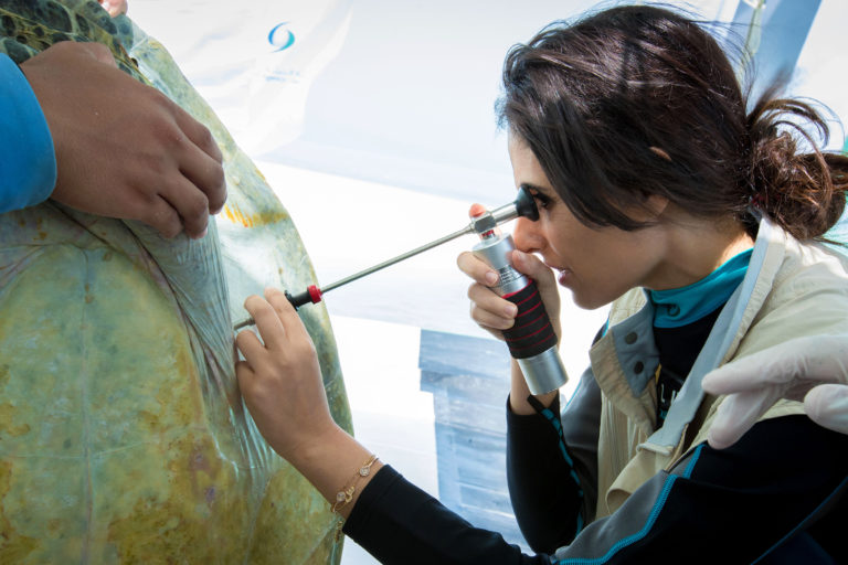 Razan Khalifa Al Mubarak