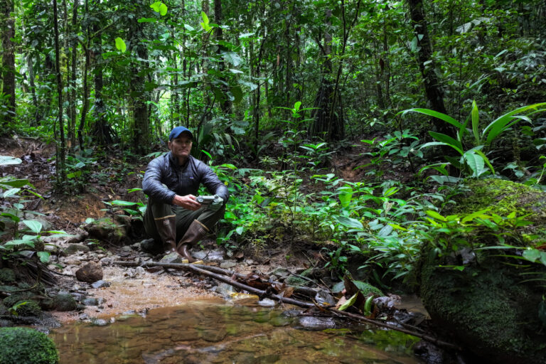 Mongabay's founder and CEO Rhett Ayers Butler flying a drone in the Amazon rainforest in July 2023.