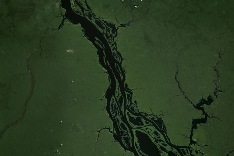 Satellite image of the Rio Negro in September 2020. Courtesy of Zoom.Earth.