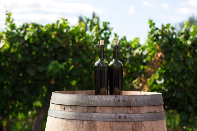 Wine bottles in a vineyard.