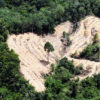 Deforestation for oil palm in Malaysian Borneo.