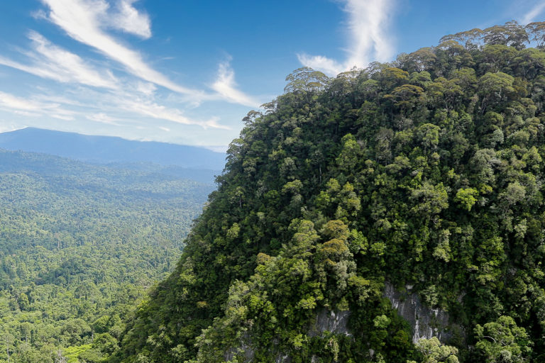 Karst mountain in Sabah, Malaysia on the island of Borneo. Photo credit: Rhett A. Butler