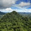 Rainforest in Malaysian Borneo. Photo by Rhett A. Butler for Mongabay.