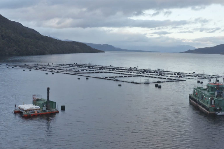 Drone view of a salmon farm.