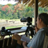 WCS President and CEO Dr. Cristián Samper observes forest elephants from an observation tower at the Dzanga Bai research site in the Central African Republic. Photo: Elizabeth Bennett/WCS.