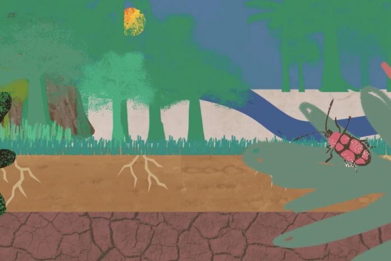 Representative animation of the soil formation process