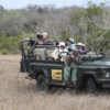 Tourists in South Africa's Kruger National Park photograph wildlife. Image by Rhett Butler for Mongabay.