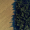 Soy-forest boundary. Photo credit: Mighty Earth