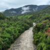 A river flows through the Amazon Rainforest.