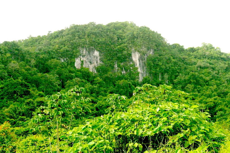 The proposed plan is to first mine Sugar Valley Hill on the south side of the Coastal Road, then progress northwest. Image courtesy of James Krupa for Mongabay.