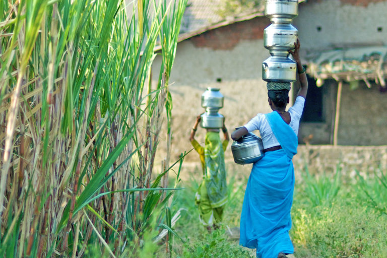 Women carry water next to sugarcane crops.