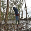 A fisherman looks for crabs.