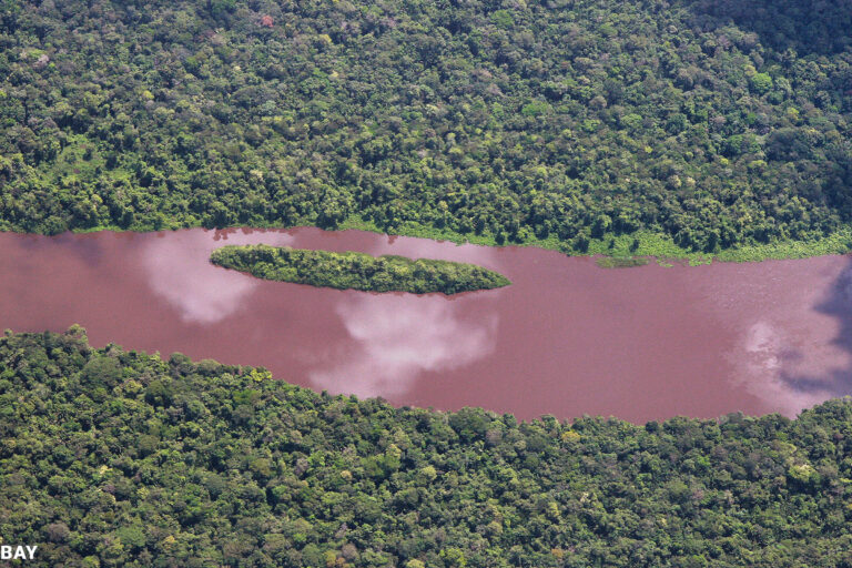 A river in the Amazon rainforest interior of Suriname. Photo credit: Rhett Ayers Butler.