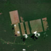 Zoom.earth satellite image showing an area of forest cleared for a cacao plantation outside of Tamshiyacu, Peru.
