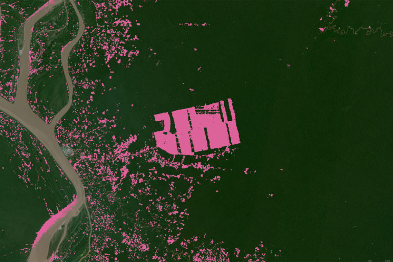 Global Forest Watch tree cover loss 2001-2021 set on Planet imagery from Jun-Sep 2020.