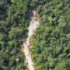 Road constructed into the forest path near the Liboumba River.
