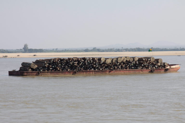 A barge transports teak logs