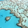 Great barrier reef. Image by Ayanadak123 via Wikimedia Commons (CC BY-SA 4.0).