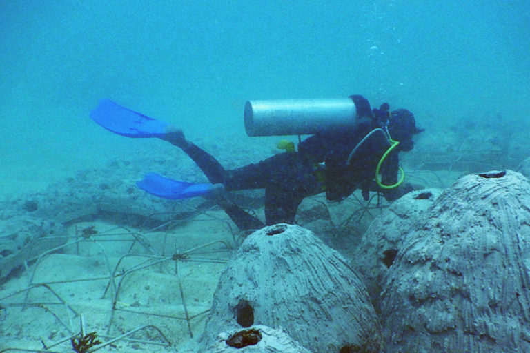 Transplanting coral reefs.